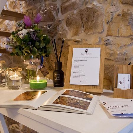 Bio B&B Bacco Nella Gnostra Altamura Εξωτερικό φωτογραφία