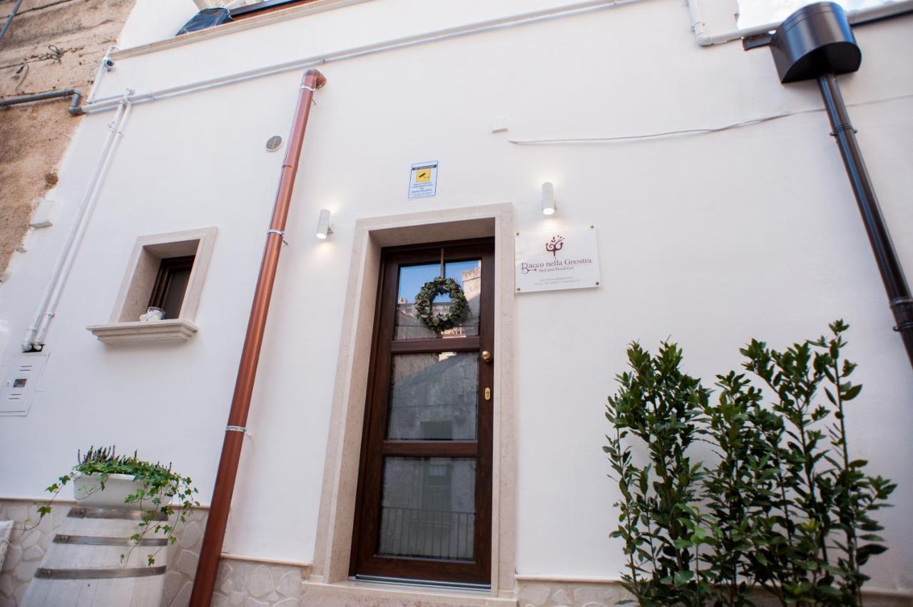 Bio B&B Bacco Nella Gnostra Altamura Εξωτερικό φωτογραφία
