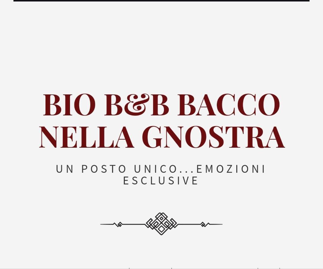 Bio B&B Bacco Nella Gnostra Altamura Εξωτερικό φωτογραφία
